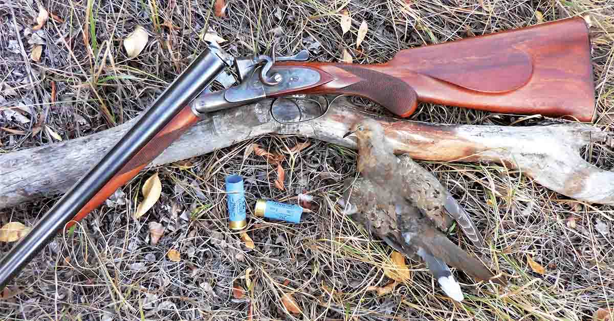 The first bird taken by the old gun was this mourning dove, with the Sauer Falke and the fold-crimp 2.5-inch, ¾-ounce handload.